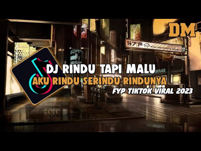 🎶DJ AKU RINDU SERINDU RINDUNYA -  DJ RINDU TAPI MALU SLOW TIKTOK TERBARU class=