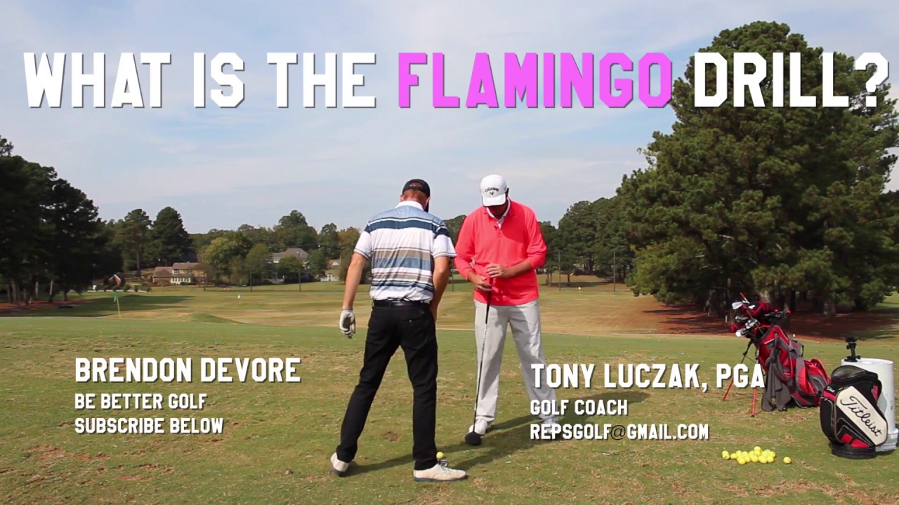 Flamingo Drill Might Change Your Golf Life