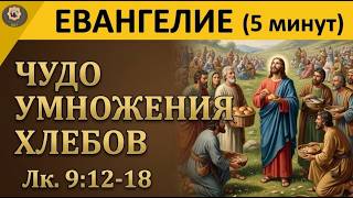 30 октября Евангелие Почему мы так любим перекладывать ответственность