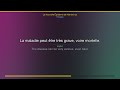 ENG Sub Slow Québécois French Podcast A1 E02 The Hantavirus Outbreak 