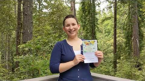 Creative Kids at Home: Water Filter Science Experiment