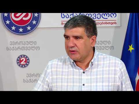 ნორმად ჩამოყალიბდა, რომ \"ოცნებასთან\" დაკავშირებული პირები დაუსჯელები რჩებიან - თარხნიშვილი