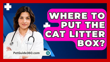 Where To Put The Cat Litter Box? - PetGuide360.com