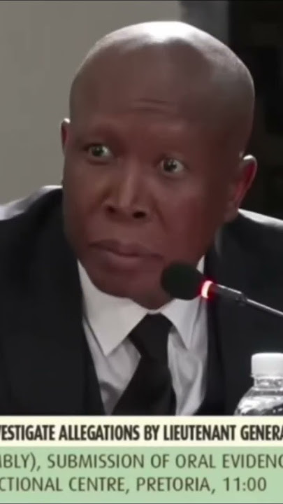Cat Matlala tells Julius Malema that Bheki Cele lied under Oath