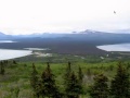 The 20th Century's Greatest Volcanic Eruption: Mt Katmai 100 Years Later