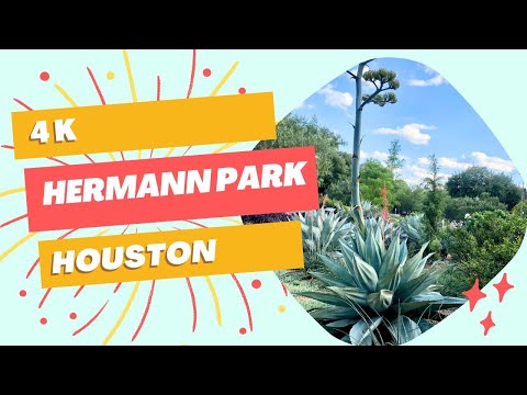 [4K] Hermann Park walking tour. Houston, Texas Travel. Relaxation Nature Video