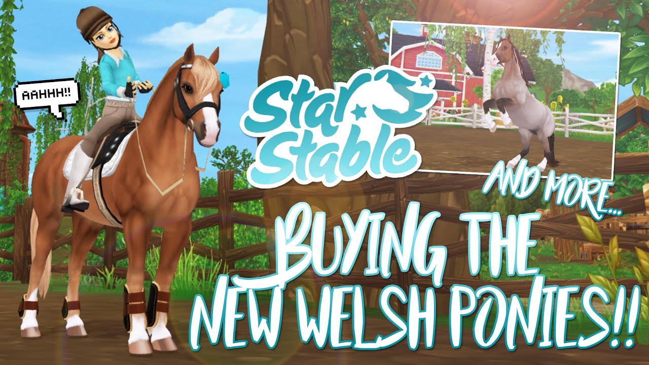 Buying the NEW Welsh Ponies, NEW bridles & MORE! | Star Stable Updates ...