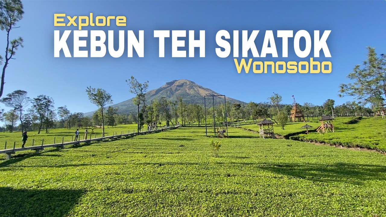Explore Kebun Teh Sikatok Wonosobo #9