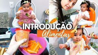 VLOG INTRODUÇÃO ALIMENTAR DA ZOE - 6 meses | Método BLW ? | Organizando os alimentos | Camila Ester. screenshot 4