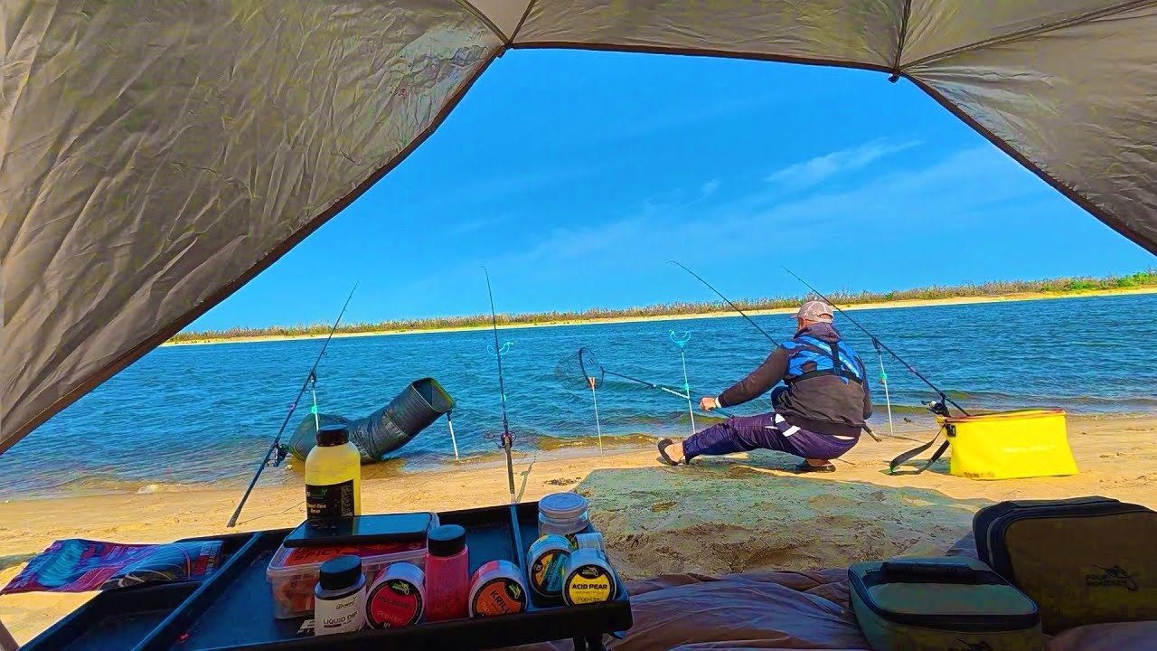 ЛОВЛЮ САЗАНІВ та КАРАСІВ на фідер. Рибалка з ночівлею