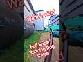 Gojo Full Speed Running Dog Catch #gojo #speed #dogwithpublicsafety #dog #running