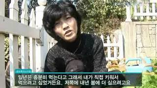 생로병사의 비밀 - Mysteries of the Human Body 20091015 #005