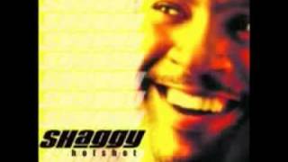 Shaggy - Dance and Shout (Thunderpuss Club Mix).mov