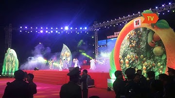 NGÀY HỘI TRÁI CÂY LỚN NHẤT MIỀN BẮC HUYỆN LỤC NGẠN 2019 3