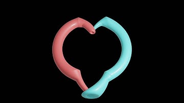 Torus Eversion: Klein Bottles