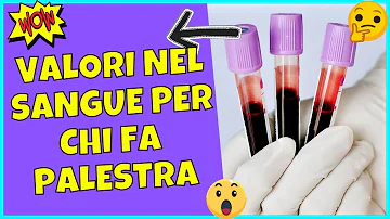 Che cosa sono le proteine del sangue?
