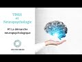 Tdah et neuropsychologie  1 la dmarche neuropsychologique dans le tdah