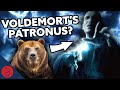 What Is Voldemort’s Patronus? [Harry Potter Theory]