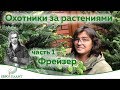 Охотники за растениями. Джон Фрайзер. Часть 1