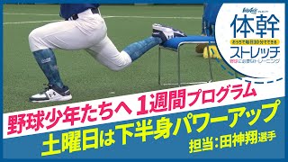 毎日10分で野球上達！土曜は「下半身パワー」トレーニング！