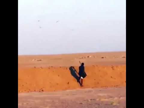 الحياه الفطريه وينك