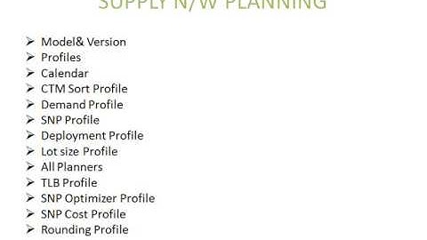 sap apo(advanced planner optimiser) & technical support-magnific