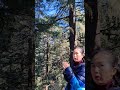 Himalayan juniper? smell so so refreshing #travel