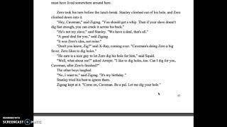 Holes Chapters 29 and 30