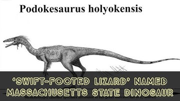 ‘Swift-footed lizard’ named Massachusetts state dinosaur | Podokesaurus Holyokensis