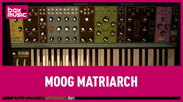 Moog Matriarch Synthesizer Review | Bax Music
