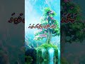 Surah Falaq / The Daybreak  | Ep.#63 | Good Morning Series | Refresh Vlog Media | Subhanallah |