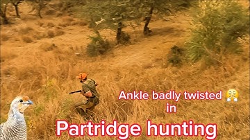 Partridge hunting in pakistan by waqaas khan 2024,2025 #partridgehunting #teeter #shikar #uplandhunt