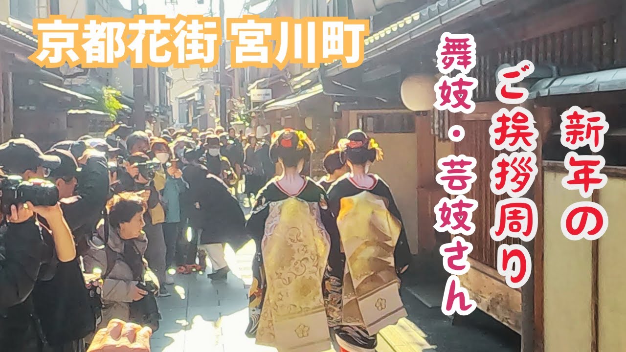 埋め尽くギャラリー 京都 舞妓・芸妓さん達の新年のご挨拶周りkyoto japan gion 宮川町の芸舞妓 だらりの帯 【4K】