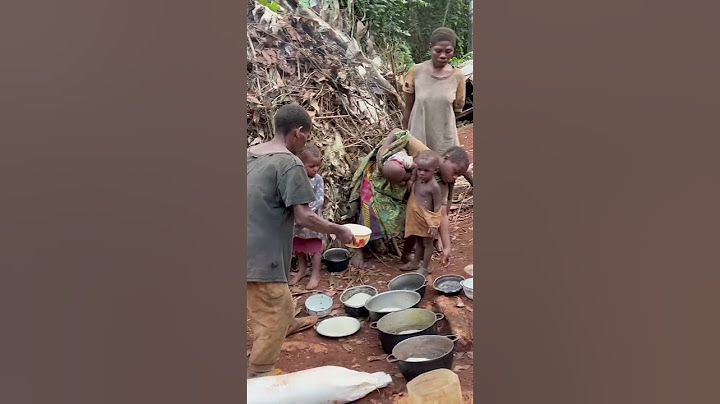 Documentando en África. Los pigmeos Baka viven en colectividad.