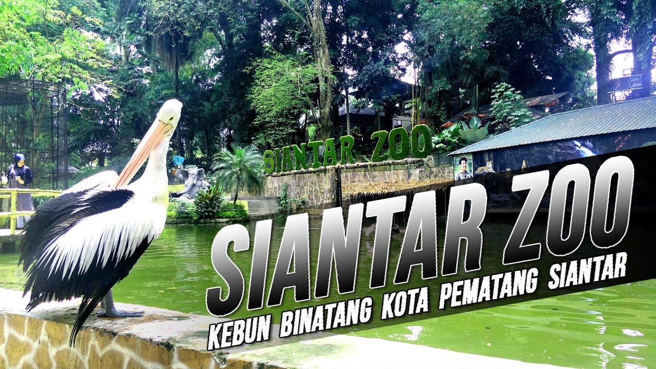 SIANTAR ZOO | KOTA PEMATANG SIANTAR - YouTube