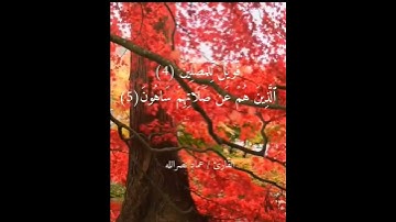 ( فَوَيْلٌ لِلْمُصَلِّينَ الَّذِينَ هُمْ عَنْ صَلاتِهِمْ سَاهُونَ ) بصوت القارئ/ عماد نصرالله