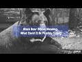 Meaning of Dreaming of a Black Bear: Symbolism and Interpretations