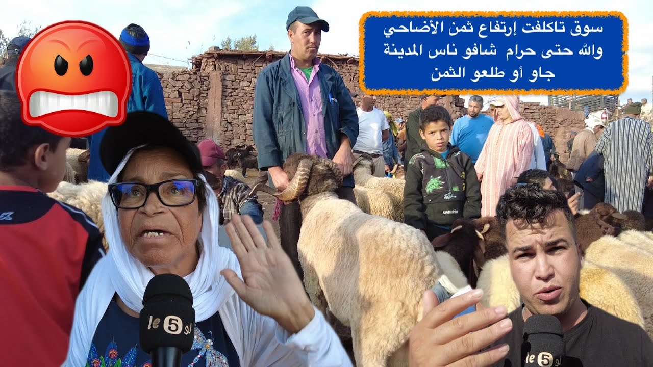 سوق تاكلفت ارتفاع ثمن الأضاحي والله حتى حرام  شافو ناس المدينة جاو او طلعو الثمن