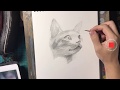 #170【生配信】芸大生が講評します　 猫描きます　pencil drawing cat