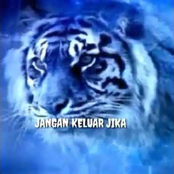Story' wa#Kata Kata  *cerdik macan putih*''''