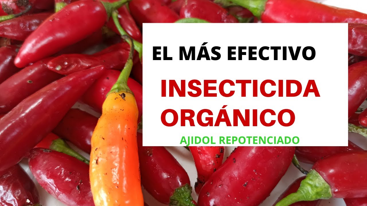 EL MÁS EFECTIVO INSECTICIDA ORGÁNICO: AJIDOL REPOTENCIADO