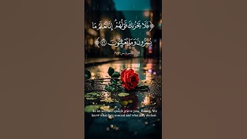 فلا يحزنك قولهم #سورة_يس #shortvideo