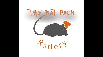 How To Train Your Rat To Run Through A Tunnel