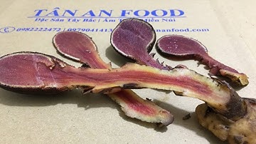 Cách nhận biết & ngâm rượu NẤM NGỌC CẨU