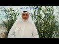 الميل الشاذ نحو الكبير الميل الشاذ نحو الكبير