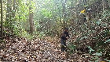 Cuab qhaub taws mag qaib qus 14/3/2023