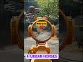 Wait For It... CRAZY Warzone Sniper Kill!