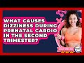 What Causes Dizziness During Prenatal Cardio In The Second Trimester? - Fertility Fitness Pro