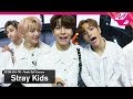 [KCON2019TH x M2] 스트레이 키즈(Stray Kids) 엔딩셀프캠(Ending Finale Self Camera)