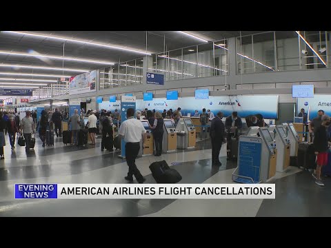 Бейне: American Airlines халықаралық рейстерде тамақ береді ме?